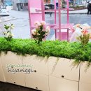 공간-조화 이미지