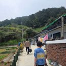 화태민박 네이버블로그