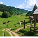 선녀계곡 | 충칭 근교여행 우롱투어 8인 소규모투어 후기 - 중국의 대자연 감상 I 천생삼교 , 용수협 , 선녀산