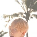 pit a pat 이미지
