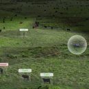 상용목장 이미지