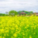 세도 금강변 이미지