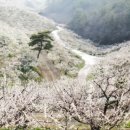 대화농장 이미지