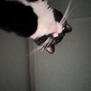 박찬목장 | 헌옷수거함의 초록빛낭만과