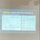 표선면사무소