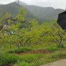 금월농장 이미지