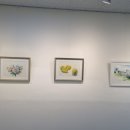 서양화중급 이미지