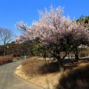 인터시티 서울호텔 이미지