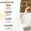 정답병원 | 🐹 2025 햄스터 정기검진 비용과 후기! 평균 진료비·검진항목·병원 선택 팁까지 총정리