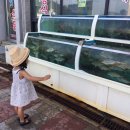 정담스테이 이미지