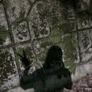 뽑아봅세 | I는 연속 약속이 힘들어요,,,(배드타임, 청모, 부평 증명사진 맛집)