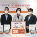 애견 11번가 이미지