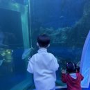엑스포대로,오동도로 | (여수가족여행)아이와 함께가기 좋은 실내 가볼맛한곳, 아쿠아플라넷
