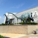 해남공룡박물관 이미지