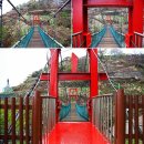 새은성목장 | [여행후기] 묵호등대마을, 출렁다리 - 강원도여행코스, 강원도여행지추천, 강원도 가볼만한곳,대구출발...