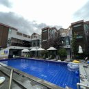 와우하우스 이미지