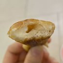 앤티앤스프레즐스타필드 이미지