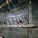 대호셀프주유소 이미지