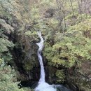 하늘다리 | 🏞 명지산 하늘다리 다녀온 후기 (서울 인근 가을 나들이)