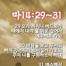 (주)오늘의바다