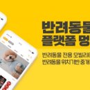 대전 멍택시 이미지