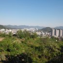 여수이순신대교 이미지
