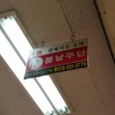 봄날주단