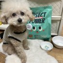 인섹트 파워 | 강아지곤충사료 식용 곤충 단백질을 주원료 인섹트파워