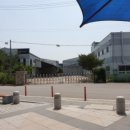 삼일식품 Daum카페