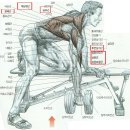 일번피티 이미지