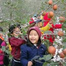 아영면 일대마을 이미지