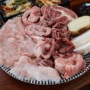 바른고기엘베요타서면