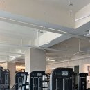 오빠네피티샵 이미지