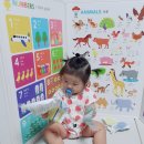 두뇌발달 촉감놀이 꼼지락(10~15개월) | 10~12개월 촉감놀이 추천 | 종이 찢기·뽁뽁이 (돈 안 드는 아기 놀이)