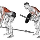 애니핏그라운드 이미지