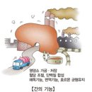 간선-49 이미지