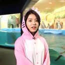 [소혜] [한입토익] 미공개 영상 소혜펭귄🐧 이미지