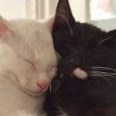 군산시-02310 이미지