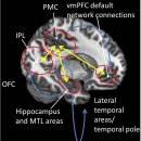 Re:Re:Re: Perturbed Energy Metabolism and Neuronal Circuit Dysfunction in Cognitive Impairment 이미지