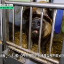 돼지새끼 - 수원시 팔달구 매산로116번길 45 | 돼지새끼
