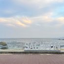 까사클라라 이미지