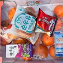 청도 | 2025 청도 마라톤 후기 ｜청도마라톤 코스·기념품·먹거리 총정리