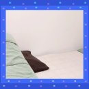 아이디얼 핏 이미지