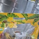 세라농장(2농장) 이미지