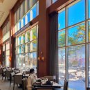 하이원 팰리스호텔 이미지