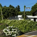 동광리-9 이미지