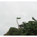 동호바다펜션민박 이미지