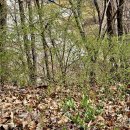 김순효자문 이미지