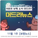 핸드드립 체험 가능한 온새미로축제, 화훼장식 기능사 등의 농업분야 특별교육 등 11월 1주 보령 뉴스