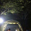 구송정 유원지 | 구송정 캠핑 후기